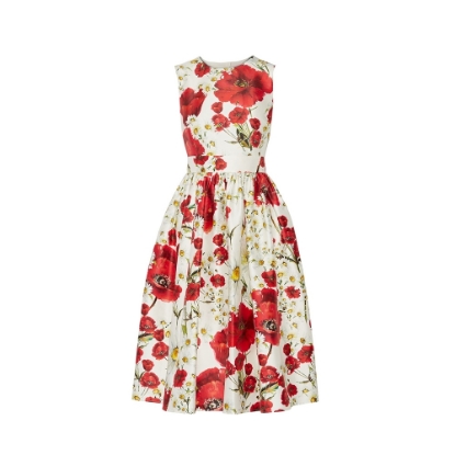 Picture of Poppy print dress