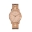 Picture of Nixon Gold Dial Quartz Watch